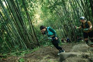 BIB: 
                            <button type="button" onclick="openModal(28113885)" class="btn btn-primary btn-sm float-right btn-popup" data-toggle="modal" data-target=".modal-high-quality">
                        <i class="fas fa-shopping-cart"></i> Add to Cart
                    </button>
                                            <button type="button" onclick="isThisMe(28113885, true)" class="btn btn-success btn-sm float-right btn-popup btn-isme hidden" data-toggle="tooltip" data-placement="bottom" title="นี่คือรูปของคุณใช่ไหม คลิกที่นี่เพื่อเอาเข้าอัลบั้ม">
                        <i class="fas fa-plus"></i> Add to album
                    </button>
                    <button type="button" onclick="isThisMe(28113885, false)" class="btn btn-warning btn-sm float-right btn-popup btn-isnotme hidden">
                        <i class="fas fa-ban"></i> Remove from album
                    </button>