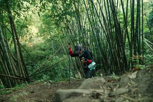 BIB: 
                            <button type="button" onclick="openModal(28114325)" class="btn btn-primary btn-sm float-right btn-popup" data-toggle="modal" data-target=".modal-high-quality">
                        <i class="fas fa-shopping-cart"></i> Add to Cart
                    </button>
                                            <button type="button" onclick="isThisMe(28114325, true)" class="btn btn-success btn-sm float-right btn-popup btn-isme hidden" data-toggle="tooltip" data-placement="bottom" title="นี่คือรูปของคุณใช่ไหม คลิกที่นี่เพื่อเอาเข้าอัลบั้ม">
                        <i class="fas fa-plus"></i> Add to album
                    </button>
                    <button type="button" onclick="isThisMe(28114325, false)" class="btn btn-warning btn-sm float-right btn-popup btn-isnotme hidden">
                        <i class="fas fa-ban"></i> Remove from album
                    </button>