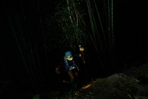 BIB: 
                            <button type="button" onclick="openModal(28109227)" class="btn btn-primary btn-sm float-right btn-popup" data-toggle="modal" data-target=".modal-high-quality">
                        <i class="fas fa-shopping-cart"></i> Add to Cart
                    </button>
                                            <button type="button" onclick="isThisMe(28109227, true)" class="btn btn-success btn-sm float-right btn-popup btn-isme hidden" data-toggle="tooltip" data-placement="bottom" title="นี่คือรูปของคุณใช่ไหม คลิกที่นี่เพื่อเอาเข้าอัลบั้ม">
                        <i class="fas fa-plus"></i> Add to album
                    </button>
                    <button type="button" onclick="isThisMe(28109227, false)" class="btn btn-warning btn-sm float-right btn-popup btn-isnotme hidden">
                        <i class="fas fa-ban"></i> Remove from album
                    </button>