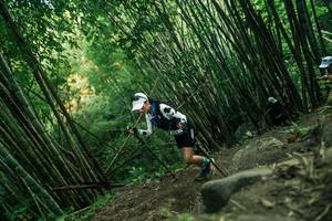 BIB: 
                            <button type="button" onclick="openModal(28113065)" class="btn btn-primary btn-sm float-right btn-popup" data-toggle="modal" data-target=".modal-high-quality">
                        <i class="fas fa-shopping-cart"></i> Add to Cart
                    </button>
                                            <button type="button" onclick="isThisMe(28113065, true)" class="btn btn-success btn-sm float-right btn-popup btn-isme hidden" data-toggle="tooltip" data-placement="bottom" title="นี่คือรูปของคุณใช่ไหม คลิกที่นี่เพื่อเอาเข้าอัลบั้ม">
                        <i class="fas fa-plus"></i> Add to album
                    </button>
                    <button type="button" onclick="isThisMe(28113065, false)" class="btn btn-warning btn-sm float-right btn-popup btn-isnotme hidden">
                        <i class="fas fa-ban"></i> Remove from album
                    </button>