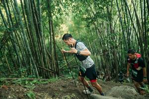 BIB: 
                            <button type="button" onclick="openModal(28113332)" class="btn btn-primary btn-sm float-right btn-popup" data-toggle="modal" data-target=".modal-high-quality">
                        <i class="fas fa-shopping-cart"></i> Add to Cart
                    </button>
                                            <button type="button" onclick="isThisMe(28113332, true)" class="btn btn-success btn-sm float-right btn-popup btn-isme hidden" data-toggle="tooltip" data-placement="bottom" title="นี่คือรูปของคุณใช่ไหม คลิกที่นี่เพื่อเอาเข้าอัลบั้ม">
                        <i class="fas fa-plus"></i> Add to album
                    </button>
                    <button type="button" onclick="isThisMe(28113332, false)" class="btn btn-warning btn-sm float-right btn-popup btn-isnotme hidden">
                        <i class="fas fa-ban"></i> Remove from album
                    </button>