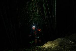 BIB: 
                            <button type="button" onclick="openModal(28108770)" class="btn btn-primary btn-sm float-right btn-popup" data-toggle="modal" data-target=".modal-high-quality">
                        <i class="fas fa-shopping-cart"></i> Add to Cart
                    </button>
                                            <button type="button" onclick="isThisMe(28108770, true)" class="btn btn-success btn-sm float-right btn-popup btn-isme hidden" data-toggle="tooltip" data-placement="bottom" title="นี่คือรูปของคุณใช่ไหม คลิกที่นี่เพื่อเอาเข้าอัลบั้ม">
                        <i class="fas fa-plus"></i> Add to album
                    </button>
                    <button type="button" onclick="isThisMe(28108770, false)" class="btn btn-warning btn-sm float-right btn-popup btn-isnotme hidden">
                        <i class="fas fa-ban"></i> Remove from album
                    </button>