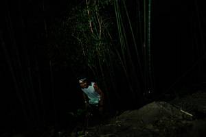 BIB: 
                            <button type="button" onclick="openModal(28108577)" class="btn btn-primary btn-sm float-right btn-popup" data-toggle="modal" data-target=".modal-high-quality">
                        <i class="fas fa-shopping-cart"></i> Add to Cart
                    </button>
                                            <button type="button" onclick="isThisMe(28108577, true)" class="btn btn-success btn-sm float-right btn-popup btn-isme hidden" data-toggle="tooltip" data-placement="bottom" title="นี่คือรูปของคุณใช่ไหม คลิกที่นี่เพื่อเอาเข้าอัลบั้ม">
                        <i class="fas fa-plus"></i> Add to album
                    </button>
                    <button type="button" onclick="isThisMe(28108577, false)" class="btn btn-warning btn-sm float-right btn-popup btn-isnotme hidden">
                        <i class="fas fa-ban"></i> Remove from album
                    </button>