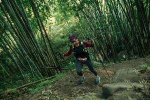 BIB: 
                            <button type="button" onclick="openModal(28114595)" class="btn btn-primary btn-sm float-right btn-popup" data-toggle="modal" data-target=".modal-high-quality">
                        <i class="fas fa-shopping-cart"></i> Add to Cart
                    </button>
                                            <button type="button" onclick="isThisMe(28114595, true)" class="btn btn-success btn-sm float-right btn-popup btn-isme hidden" data-toggle="tooltip" data-placement="bottom" title="นี่คือรูปของคุณใช่ไหม คลิกที่นี่เพื่อเอาเข้าอัลบั้ม">
                        <i class="fas fa-plus"></i> Add to album
                    </button>
                    <button type="button" onclick="isThisMe(28114595, false)" class="btn btn-warning btn-sm float-right btn-popup btn-isnotme hidden">
                        <i class="fas fa-ban"></i> Remove from album
                    </button>