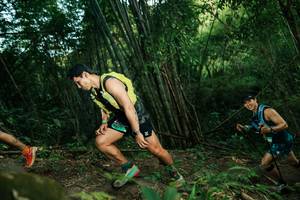 BIB: 
                            <button type="button" onclick="openModal(28111337)" class="btn btn-primary btn-sm float-right btn-popup" data-toggle="modal" data-target=".modal-high-quality">
                        <i class="fas fa-shopping-cart"></i> Add to Cart
                    </button>
                                            <button type="button" onclick="isThisMe(28111337, true)" class="btn btn-success btn-sm float-right btn-popup btn-isme hidden" data-toggle="tooltip" data-placement="bottom" title="นี่คือรูปของคุณใช่ไหม คลิกที่นี่เพื่อเอาเข้าอัลบั้ม">
                        <i class="fas fa-plus"></i> Add to album
                    </button>
                    <button type="button" onclick="isThisMe(28111337, false)" class="btn btn-warning btn-sm float-right btn-popup btn-isnotme hidden">
                        <i class="fas fa-ban"></i> Remove from album
                    </button>