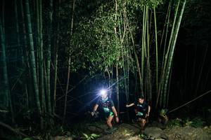 BIB: 
                            <button type="button" onclick="openModal(28108998)" class="btn btn-primary btn-sm float-right btn-popup" data-toggle="modal" data-target=".modal-high-quality">
                        <i class="fas fa-shopping-cart"></i> Add to Cart
                    </button>
                                            <button type="button" onclick="isThisMe(28108998, true)" class="btn btn-success btn-sm float-right btn-popup btn-isme hidden" data-toggle="tooltip" data-placement="bottom" title="นี่คือรูปของคุณใช่ไหม คลิกที่นี่เพื่อเอาเข้าอัลบั้ม">
                        <i class="fas fa-plus"></i> Add to album
                    </button>
                    <button type="button" onclick="isThisMe(28108998, false)" class="btn btn-warning btn-sm float-right btn-popup btn-isnotme hidden">
                        <i class="fas fa-ban"></i> Remove from album
                    </button>