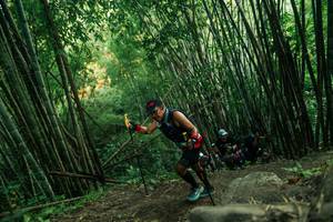 BIB: 
                            <button type="button" onclick="openModal(28112959)" class="btn btn-primary btn-sm float-right btn-popup" data-toggle="modal" data-target=".modal-high-quality">
                        <i class="fas fa-shopping-cart"></i> Add to Cart
                    </button>
                                            <button type="button" onclick="isThisMe(28112959, true)" class="btn btn-success btn-sm float-right btn-popup btn-isme hidden" data-toggle="tooltip" data-placement="bottom" title="นี่คือรูปของคุณใช่ไหม คลิกที่นี่เพื่อเอาเข้าอัลบั้ม">
                        <i class="fas fa-plus"></i> Add to album
                    </button>
                    <button type="button" onclick="isThisMe(28112959, false)" class="btn btn-warning btn-sm float-right btn-popup btn-isnotme hidden">
                        <i class="fas fa-ban"></i> Remove from album
                    </button>