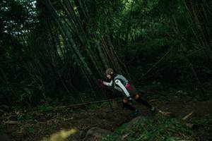 BIB: 
                            <button type="button" onclick="openModal(28111118)" class="btn btn-primary btn-sm float-right btn-popup" data-toggle="modal" data-target=".modal-high-quality">
                        <i class="fas fa-shopping-cart"></i> Add to Cart
                    </button>
                                            <button type="button" onclick="isThisMe(28111118, true)" class="btn btn-success btn-sm float-right btn-popup btn-isme hidden" data-toggle="tooltip" data-placement="bottom" title="นี่คือรูปของคุณใช่ไหม คลิกที่นี่เพื่อเอาเข้าอัลบั้ม">
                        <i class="fas fa-plus"></i> Add to album
                    </button>
                    <button type="button" onclick="isThisMe(28111118, false)" class="btn btn-warning btn-sm float-right btn-popup btn-isnotme hidden">
                        <i class="fas fa-ban"></i> Remove from album
                    </button>