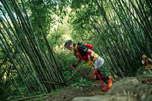 BIB: 
                            <button type="button" onclick="openModal(28114493)" class="btn btn-primary btn-sm float-right btn-popup" data-toggle="modal" data-target=".modal-high-quality">
                        <i class="fas fa-shopping-cart"></i> Add to Cart
                    </button>
                                            <button type="button" onclick="isThisMe(28114493, true)" class="btn btn-success btn-sm float-right btn-popup btn-isme hidden" data-toggle="tooltip" data-placement="bottom" title="นี่คือรูปของคุณใช่ไหม คลิกที่นี่เพื่อเอาเข้าอัลบั้ม">
                        <i class="fas fa-plus"></i> Add to album
                    </button>
                    <button type="button" onclick="isThisMe(28114493, false)" class="btn btn-warning btn-sm float-right btn-popup btn-isnotme hidden">
                        <i class="fas fa-ban"></i> Remove from album
                    </button>