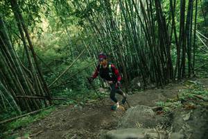 BIB: 
                            <button type="button" onclick="openModal(28114581)" class="btn btn-primary btn-sm float-right btn-popup" data-toggle="modal" data-target=".modal-high-quality">
                        <i class="fas fa-shopping-cart"></i> Add to Cart
                    </button>
                                            <button type="button" onclick="isThisMe(28114581, true)" class="btn btn-success btn-sm float-right btn-popup btn-isme hidden" data-toggle="tooltip" data-placement="bottom" title="นี่คือรูปของคุณใช่ไหม คลิกที่นี่เพื่อเอาเข้าอัลบั้ม">
                        <i class="fas fa-plus"></i> Add to album
                    </button>
                    <button type="button" onclick="isThisMe(28114581, false)" class="btn btn-warning btn-sm float-right btn-popup btn-isnotme hidden">
                        <i class="fas fa-ban"></i> Remove from album
                    </button>