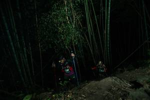 BIB: 
                            <button type="button" onclick="openModal(28109193)" class="btn btn-primary btn-sm float-right btn-popup" data-toggle="modal" data-target=".modal-high-quality">
                        <i class="fas fa-shopping-cart"></i> Add to Cart
                    </button>
                                            <button type="button" onclick="isThisMe(28109193, true)" class="btn btn-success btn-sm float-right btn-popup btn-isme hidden" data-toggle="tooltip" data-placement="bottom" title="นี่คือรูปของคุณใช่ไหม คลิกที่นี่เพื่อเอาเข้าอัลบั้ม">
                        <i class="fas fa-plus"></i> Add to album
                    </button>
                    <button type="button" onclick="isThisMe(28109193, false)" class="btn btn-warning btn-sm float-right btn-popup btn-isnotme hidden">
                        <i class="fas fa-ban"></i> Remove from album
                    </button>