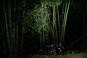 BIB: 
                            <button type="button" onclick="openModal(28108995)" class="btn btn-primary btn-sm float-right btn-popup" data-toggle="modal" data-target=".modal-high-quality">
                        <i class="fas fa-shopping-cart"></i> Add to Cart
                    </button>
                                            <button type="button" onclick="isThisMe(28108995, true)" class="btn btn-success btn-sm float-right btn-popup btn-isme hidden" data-toggle="tooltip" data-placement="bottom" title="นี่คือรูปของคุณใช่ไหม คลิกที่นี่เพื่อเอาเข้าอัลบั้ม">
                        <i class="fas fa-plus"></i> Add to album
                    </button>
                    <button type="button" onclick="isThisMe(28108995, false)" class="btn btn-warning btn-sm float-right btn-popup btn-isnotme hidden">
                        <i class="fas fa-ban"></i> Remove from album
                    </button>