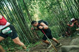 BIB: 
                            <button type="button" onclick="openModal(28113449)" class="btn btn-primary btn-sm float-right btn-popup" data-toggle="modal" data-target=".modal-high-quality">
                        <i class="fas fa-shopping-cart"></i> Add to Cart
                    </button>
                                            <button type="button" onclick="isThisMe(28113449, true)" class="btn btn-success btn-sm float-right btn-popup btn-isme hidden" data-toggle="tooltip" data-placement="bottom" title="นี่คือรูปของคุณใช่ไหม คลิกที่นี่เพื่อเอาเข้าอัลบั้ม">
                        <i class="fas fa-plus"></i> Add to album
                    </button>
                    <button type="button" onclick="isThisMe(28113449, false)" class="btn btn-warning btn-sm float-right btn-popup btn-isnotme hidden">
                        <i class="fas fa-ban"></i> Remove from album
                    </button>