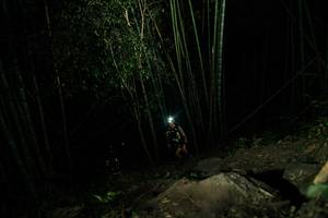 BIB: 
                            <button type="button" onclick="openModal(28109872)" class="btn btn-primary btn-sm float-right btn-popup" data-toggle="modal" data-target=".modal-high-quality">
                        <i class="fas fa-shopping-cart"></i> Add to Cart
                    </button>
                                            <button type="button" onclick="isThisMe(28109872, true)" class="btn btn-success btn-sm float-right btn-popup btn-isme hidden" data-toggle="tooltip" data-placement="bottom" title="นี่คือรูปของคุณใช่ไหม คลิกที่นี่เพื่อเอาเข้าอัลบั้ม">
                        <i class="fas fa-plus"></i> Add to album
                    </button>
                    <button type="button" onclick="isThisMe(28109872, false)" class="btn btn-warning btn-sm float-right btn-popup btn-isnotme hidden">
                        <i class="fas fa-ban"></i> Remove from album
                    </button>