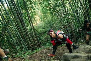 BIB: 
                            <button type="button" onclick="openModal(28113357)" class="btn btn-primary btn-sm float-right btn-popup" data-toggle="modal" data-target=".modal-high-quality">
                        <i class="fas fa-shopping-cart"></i> Add to Cart
                    </button>
                                            <button type="button" onclick="isThisMe(28113357, true)" class="btn btn-success btn-sm float-right btn-popup btn-isme hidden" data-toggle="tooltip" data-placement="bottom" title="นี่คือรูปของคุณใช่ไหม คลิกที่นี่เพื่อเอาเข้าอัลบั้ม">
                        <i class="fas fa-plus"></i> Add to album
                    </button>
                    <button type="button" onclick="isThisMe(28113357, false)" class="btn btn-warning btn-sm float-right btn-popup btn-isnotme hidden">
                        <i class="fas fa-ban"></i> Remove from album
                    </button>