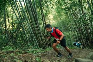 BIB: 
                            <button type="button" onclick="openModal(28113920)" class="btn btn-primary btn-sm float-right btn-popup" data-toggle="modal" data-target=".modal-high-quality">
                        <i class="fas fa-shopping-cart"></i> Add to Cart
                    </button>
                                            <button type="button" onclick="isThisMe(28113920, true)" class="btn btn-success btn-sm float-right btn-popup btn-isme hidden" data-toggle="tooltip" data-placement="bottom" title="นี่คือรูปของคุณใช่ไหม คลิกที่นี่เพื่อเอาเข้าอัลบั้ม">
                        <i class="fas fa-plus"></i> Add to album
                    </button>
                    <button type="button" onclick="isThisMe(28113920, false)" class="btn btn-warning btn-sm float-right btn-popup btn-isnotme hidden">
                        <i class="fas fa-ban"></i> Remove from album
                    </button>