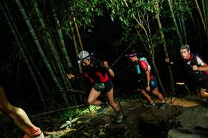 BIB: 
                            <button type="button" onclick="openModal(28109984)" class="btn btn-primary btn-sm float-right btn-popup" data-toggle="modal" data-target=".modal-high-quality">
                        <i class="fas fa-shopping-cart"></i> Add to Cart
                    </button>
                                            <button type="button" onclick="isThisMe(28109984, true)" class="btn btn-success btn-sm float-right btn-popup btn-isme hidden" data-toggle="tooltip" data-placement="bottom" title="นี่คือรูปของคุณใช่ไหม คลิกที่นี่เพื่อเอาเข้าอัลบั้ม">
                        <i class="fas fa-plus"></i> Add to album
                    </button>
                    <button type="button" onclick="isThisMe(28109984, false)" class="btn btn-warning btn-sm float-right btn-popup btn-isnotme hidden">
                        <i class="fas fa-ban"></i> Remove from album
                    </button>