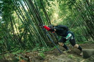 BIB: 
                            <button type="button" onclick="openModal(28114339)" class="btn btn-primary btn-sm float-right btn-popup" data-toggle="modal" data-target=".modal-high-quality">
                        <i class="fas fa-shopping-cart"></i> Add to Cart
                    </button>
                                            <button type="button" onclick="isThisMe(28114339, true)" class="btn btn-success btn-sm float-right btn-popup btn-isme hidden" data-toggle="tooltip" data-placement="bottom" title="นี่คือรูปของคุณใช่ไหม คลิกที่นี่เพื่อเอาเข้าอัลบั้ม">
                        <i class="fas fa-plus"></i> Add to album
                    </button>
                    <button type="button" onclick="isThisMe(28114339, false)" class="btn btn-warning btn-sm float-right btn-popup btn-isnotme hidden">
                        <i class="fas fa-ban"></i> Remove from album
                    </button>