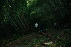 BIB: 
                            <button type="button" onclick="openModal(28111134)" class="btn btn-primary btn-sm float-right btn-popup" data-toggle="modal" data-target=".modal-high-quality">
                        <i class="fas fa-shopping-cart"></i> Add to Cart
                    </button>
                                            <button type="button" onclick="isThisMe(28111134, true)" class="btn btn-success btn-sm float-right btn-popup btn-isme hidden" data-toggle="tooltip" data-placement="bottom" title="นี่คือรูปของคุณใช่ไหม คลิกที่นี่เพื่อเอาเข้าอัลบั้ม">
                        <i class="fas fa-plus"></i> Add to album
                    </button>
                    <button type="button" onclick="isThisMe(28111134, false)" class="btn btn-warning btn-sm float-right btn-popup btn-isnotme hidden">
                        <i class="fas fa-ban"></i> Remove from album
                    </button>