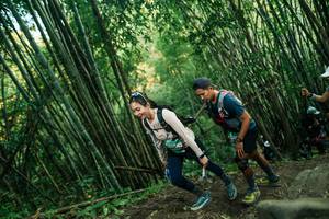 BIB: 
                            <button type="button" onclick="openModal(28112980)" class="btn btn-primary btn-sm float-right btn-popup" data-toggle="modal" data-target=".modal-high-quality">
                        <i class="fas fa-shopping-cart"></i> Add to Cart
                    </button>
                                            <button type="button" onclick="isThisMe(28112980, true)" class="btn btn-success btn-sm float-right btn-popup btn-isme hidden" data-toggle="tooltip" data-placement="bottom" title="นี่คือรูปของคุณใช่ไหม คลิกที่นี่เพื่อเอาเข้าอัลบั้ม">
                        <i class="fas fa-plus"></i> Add to album
                    </button>
                    <button type="button" onclick="isThisMe(28112980, false)" class="btn btn-warning btn-sm float-right btn-popup btn-isnotme hidden">
                        <i class="fas fa-ban"></i> Remove from album
                    </button>