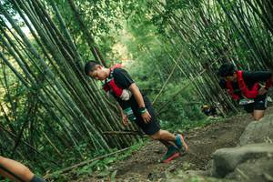 BIB: 
                            <button type="button" onclick="openModal(28113336)" class="btn btn-primary btn-sm float-right btn-popup" data-toggle="modal" data-target=".modal-high-quality">
                        <i class="fas fa-shopping-cart"></i> Add to Cart
                    </button>
                                            <button type="button" onclick="isThisMe(28113336, true)" class="btn btn-success btn-sm float-right btn-popup btn-isme hidden" data-toggle="tooltip" data-placement="bottom" title="นี่คือรูปของคุณใช่ไหม คลิกที่นี่เพื่อเอาเข้าอัลบั้ม">
                        <i class="fas fa-plus"></i> Add to album
                    </button>
                    <button type="button" onclick="isThisMe(28113336, false)" class="btn btn-warning btn-sm float-right btn-popup btn-isnotme hidden">
                        <i class="fas fa-ban"></i> Remove from album
                    </button>