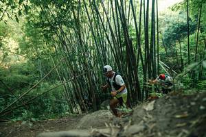 BIB: 
                            <button type="button" onclick="openModal(28114366)" class="btn btn-primary btn-sm float-right btn-popup" data-toggle="modal" data-target=".modal-high-quality">
                        <i class="fas fa-shopping-cart"></i> Add to Cart
                    </button>
                                            <button type="button" onclick="isThisMe(28114366, true)" class="btn btn-success btn-sm float-right btn-popup btn-isme hidden" data-toggle="tooltip" data-placement="bottom" title="นี่คือรูปของคุณใช่ไหม คลิกที่นี่เพื่อเอาเข้าอัลบั้ม">
                        <i class="fas fa-plus"></i> Add to album
                    </button>
                    <button type="button" onclick="isThisMe(28114366, false)" class="btn btn-warning btn-sm float-right btn-popup btn-isnotme hidden">
                        <i class="fas fa-ban"></i> Remove from album
                    </button>