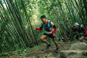 BIB: 
                            <button type="button" onclick="openModal(28113395)" class="btn btn-primary btn-sm float-right btn-popup" data-toggle="modal" data-target=".modal-high-quality">
                        <i class="fas fa-shopping-cart"></i> Add to Cart
                    </button>
                                            <button type="button" onclick="isThisMe(28113395, true)" class="btn btn-success btn-sm float-right btn-popup btn-isme hidden" data-toggle="tooltip" data-placement="bottom" title="นี่คือรูปของคุณใช่ไหม คลิกที่นี่เพื่อเอาเข้าอัลบั้ม">
                        <i class="fas fa-plus"></i> Add to album
                    </button>
                    <button type="button" onclick="isThisMe(28113395, false)" class="btn btn-warning btn-sm float-right btn-popup btn-isnotme hidden">
                        <i class="fas fa-ban"></i> Remove from album
                    </button>