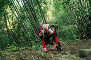 BIB: 
                            <button type="button" onclick="openModal(28113369)" class="btn btn-primary btn-sm float-right btn-popup" data-toggle="modal" data-target=".modal-high-quality">
                        <i class="fas fa-shopping-cart"></i> Add to Cart
                    </button>
                                            <button type="button" onclick="isThisMe(28113369, true)" class="btn btn-success btn-sm float-right btn-popup btn-isme hidden" data-toggle="tooltip" data-placement="bottom" title="นี่คือรูปของคุณใช่ไหม คลิกที่นี่เพื่อเอาเข้าอัลบั้ม">
                        <i class="fas fa-plus"></i> Add to album
                    </button>
                    <button type="button" onclick="isThisMe(28113369, false)" class="btn btn-warning btn-sm float-right btn-popup btn-isnotme hidden">
                        <i class="fas fa-ban"></i> Remove from album
                    </button>