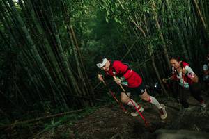 BIB: 
                            <button type="button" onclick="openModal(28110592)" class="btn btn-primary btn-sm float-right btn-popup" data-toggle="modal" data-target=".modal-high-quality">
                        <i class="fas fa-shopping-cart"></i> Add to Cart
                    </button>
                                            <button type="button" onclick="isThisMe(28110592, true)" class="btn btn-success btn-sm float-right btn-popup btn-isme hidden" data-toggle="tooltip" data-placement="bottom" title="นี่คือรูปของคุณใช่ไหม คลิกที่นี่เพื่อเอาเข้าอัลบั้ม">
                        <i class="fas fa-plus"></i> Add to album
                    </button>
                    <button type="button" onclick="isThisMe(28110592, false)" class="btn btn-warning btn-sm float-right btn-popup btn-isnotme hidden">
                        <i class="fas fa-ban"></i> Remove from album
                    </button>