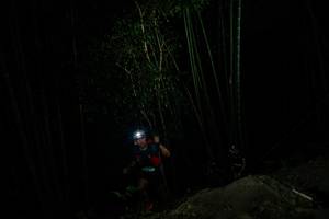 BIB: 
                            <button type="button" onclick="openModal(28108593)" class="btn btn-primary btn-sm float-right btn-popup" data-toggle="modal" data-target=".modal-high-quality">
                        <i class="fas fa-shopping-cart"></i> Add to Cart
                    </button>
                                            <button type="button" onclick="isThisMe(28108593, true)" class="btn btn-success btn-sm float-right btn-popup btn-isme hidden" data-toggle="tooltip" data-placement="bottom" title="นี่คือรูปของคุณใช่ไหม คลิกที่นี่เพื่อเอาเข้าอัลบั้ม">
                        <i class="fas fa-plus"></i> Add to album
                    </button>
                    <button type="button" onclick="isThisMe(28108593, false)" class="btn btn-warning btn-sm float-right btn-popup btn-isnotme hidden">
                        <i class="fas fa-ban"></i> Remove from album
                    </button>