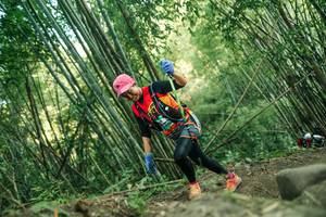 BIB: 
                            <button type="button" onclick="openModal(28114215)" class="btn btn-primary btn-sm float-right btn-popup" data-toggle="modal" data-target=".modal-high-quality">
                        <i class="fas fa-shopping-cart"></i> Add to Cart
                    </button>
                                            <button type="button" onclick="isThisMe(28114215, true)" class="btn btn-success btn-sm float-right btn-popup btn-isme hidden" data-toggle="tooltip" data-placement="bottom" title="นี่คือรูปของคุณใช่ไหม คลิกที่นี่เพื่อเอาเข้าอัลบั้ม">
                        <i class="fas fa-plus"></i> Add to album
                    </button>
                    <button type="button" onclick="isThisMe(28114215, false)" class="btn btn-warning btn-sm float-right btn-popup btn-isnotme hidden">
                        <i class="fas fa-ban"></i> Remove from album
                    </button>