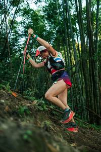 BIB: 
                            <button type="button" onclick="openModal(28112775)" class="btn btn-primary btn-sm float-right btn-popup" data-toggle="modal" data-target=".modal-high-quality">
                        <i class="fas fa-shopping-cart"></i> Add to Cart
                    </button>
                                            <button type="button" onclick="isThisMe(28112775, true)" class="btn btn-success btn-sm float-right btn-popup btn-isme hidden" data-toggle="tooltip" data-placement="bottom" title="นี่คือรูปของคุณใช่ไหม คลิกที่นี่เพื่อเอาเข้าอัลบั้ม">
                        <i class="fas fa-plus"></i> Add to album
                    </button>
                    <button type="button" onclick="isThisMe(28112775, false)" class="btn btn-warning btn-sm float-right btn-popup btn-isnotme hidden">
                        <i class="fas fa-ban"></i> Remove from album
                    </button>