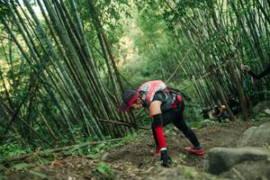 BIB: 
                            <button type="button" onclick="openModal(28113373)" class="btn btn-primary btn-sm float-right btn-popup" data-toggle="modal" data-target=".modal-high-quality">
                        <i class="fas fa-shopping-cart"></i> Add to Cart
                    </button>
                                            <button type="button" onclick="isThisMe(28113373, true)" class="btn btn-success btn-sm float-right btn-popup btn-isme hidden" data-toggle="tooltip" data-placement="bottom" title="นี่คือรูปของคุณใช่ไหม คลิกที่นี่เพื่อเอาเข้าอัลบั้ม">
                        <i class="fas fa-plus"></i> Add to album
                    </button>
                    <button type="button" onclick="isThisMe(28113373, false)" class="btn btn-warning btn-sm float-right btn-popup btn-isnotme hidden">
                        <i class="fas fa-ban"></i> Remove from album
                    </button>