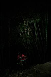 BIB: 
                            <button type="button" onclick="openModal(28108498)" class="btn btn-primary btn-sm float-right btn-popup" data-toggle="modal" data-target=".modal-high-quality">
                        <i class="fas fa-shopping-cart"></i> Add to Cart
                    </button>
                                            <button type="button" onclick="isThisMe(28108498, true)" class="btn btn-success btn-sm float-right btn-popup btn-isme hidden" data-toggle="tooltip" data-placement="bottom" title="นี่คือรูปของคุณใช่ไหม คลิกที่นี่เพื่อเอาเข้าอัลบั้ม">
                        <i class="fas fa-plus"></i> Add to album
                    </button>
                    <button type="button" onclick="isThisMe(28108498, false)" class="btn btn-warning btn-sm float-right btn-popup btn-isnotme hidden">
                        <i class="fas fa-ban"></i> Remove from album
                    </button>