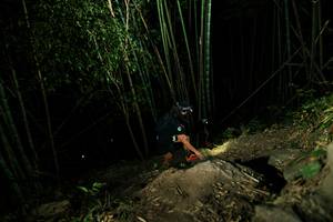 BIB: 
                            <button type="button" onclick="openModal(28109265)" class="btn btn-primary btn-sm float-right btn-popup" data-toggle="modal" data-target=".modal-high-quality">
                        <i class="fas fa-shopping-cart"></i> Add to Cart
                    </button>
                                            <button type="button" onclick="isThisMe(28109265, true)" class="btn btn-success btn-sm float-right btn-popup btn-isme hidden" data-toggle="tooltip" data-placement="bottom" title="นี่คือรูปของคุณใช่ไหม คลิกที่นี่เพื่อเอาเข้าอัลบั้ม">
                        <i class="fas fa-plus"></i> Add to album
                    </button>
                    <button type="button" onclick="isThisMe(28109265, false)" class="btn btn-warning btn-sm float-right btn-popup btn-isnotme hidden">
                        <i class="fas fa-ban"></i> Remove from album
                    </button>