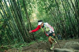 BIB: 
                            <button type="button" onclick="openModal(28113492)" class="btn btn-primary btn-sm float-right btn-popup" data-toggle="modal" data-target=".modal-high-quality">
                        <i class="fas fa-shopping-cart"></i> Add to Cart
                    </button>
                                            <button type="button" onclick="isThisMe(28113492, true)" class="btn btn-success btn-sm float-right btn-popup btn-isme hidden" data-toggle="tooltip" data-placement="bottom" title="นี่คือรูปของคุณใช่ไหม คลิกที่นี่เพื่อเอาเข้าอัลบั้ม">
                        <i class="fas fa-plus"></i> Add to album
                    </button>
                    <button type="button" onclick="isThisMe(28113492, false)" class="btn btn-warning btn-sm float-right btn-popup btn-isnotme hidden">
                        <i class="fas fa-ban"></i> Remove from album
                    </button>