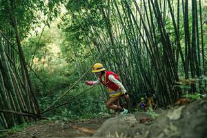 BIB: 
                            <button type="button" onclick="openModal(28114484)" class="btn btn-primary btn-sm float-right btn-popup" data-toggle="modal" data-target=".modal-high-quality">
                        <i class="fas fa-shopping-cart"></i> Add to Cart
                    </button>
                                            <button type="button" onclick="isThisMe(28114484, true)" class="btn btn-success btn-sm float-right btn-popup btn-isme hidden" data-toggle="tooltip" data-placement="bottom" title="นี่คือรูปของคุณใช่ไหม คลิกที่นี่เพื่อเอาเข้าอัลบั้ม">
                        <i class="fas fa-plus"></i> Add to album
                    </button>
                    <button type="button" onclick="isThisMe(28114484, false)" class="btn btn-warning btn-sm float-right btn-popup btn-isnotme hidden">
                        <i class="fas fa-ban"></i> Remove from album
                    </button>