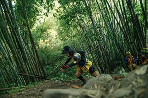 BIB: 
                            <button type="button" onclick="openModal(28114510)" class="btn btn-primary btn-sm float-right btn-popup" data-toggle="modal" data-target=".modal-high-quality">
                        <i class="fas fa-shopping-cart"></i> Add to Cart
                    </button>
                                            <button type="button" onclick="isThisMe(28114510, true)" class="btn btn-success btn-sm float-right btn-popup btn-isme hidden" data-toggle="tooltip" data-placement="bottom" title="นี่คือรูปของคุณใช่ไหม คลิกที่นี่เพื่อเอาเข้าอัลบั้ม">
                        <i class="fas fa-plus"></i> Add to album
                    </button>
                    <button type="button" onclick="isThisMe(28114510, false)" class="btn btn-warning btn-sm float-right btn-popup btn-isnotme hidden">
                        <i class="fas fa-ban"></i> Remove from album
                    </button>