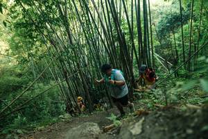 BIB: 
                            <button type="button" onclick="openModal(28114456)" class="btn btn-primary btn-sm float-right btn-popup" data-toggle="modal" data-target=".modal-high-quality">
                        <i class="fas fa-shopping-cart"></i> Add to Cart
                    </button>
                                            <button type="button" onclick="isThisMe(28114456, true)" class="btn btn-success btn-sm float-right btn-popup btn-isme hidden" data-toggle="tooltip" data-placement="bottom" title="นี่คือรูปของคุณใช่ไหม คลิกที่นี่เพื่อเอาเข้าอัลบั้ม">
                        <i class="fas fa-plus"></i> Add to album
                    </button>
                    <button type="button" onclick="isThisMe(28114456, false)" class="btn btn-warning btn-sm float-right btn-popup btn-isnotme hidden">
                        <i class="fas fa-ban"></i> Remove from album
                    </button>