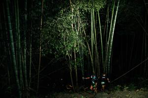 BIB: 
                            <button type="button" onclick="openModal(28108990)" class="btn btn-primary btn-sm float-right btn-popup" data-toggle="modal" data-target=".modal-high-quality">
                        <i class="fas fa-shopping-cart"></i> Add to Cart
                    </button>
                                            <button type="button" onclick="isThisMe(28108990, true)" class="btn btn-success btn-sm float-right btn-popup btn-isme hidden" data-toggle="tooltip" data-placement="bottom" title="นี่คือรูปของคุณใช่ไหม คลิกที่นี่เพื่อเอาเข้าอัลบั้ม">
                        <i class="fas fa-plus"></i> Add to album
                    </button>
                    <button type="button" onclick="isThisMe(28108990, false)" class="btn btn-warning btn-sm float-right btn-popup btn-isnotme hidden">
                        <i class="fas fa-ban"></i> Remove from album
                    </button>