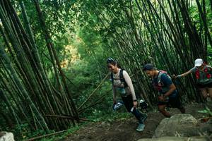 BIB: 
                            <button type="button" onclick="openModal(28112977)" class="btn btn-primary btn-sm float-right btn-popup" data-toggle="modal" data-target=".modal-high-quality">
                        <i class="fas fa-shopping-cart"></i> Add to Cart
                    </button>
                                            <button type="button" onclick="isThisMe(28112977, true)" class="btn btn-success btn-sm float-right btn-popup btn-isme hidden" data-toggle="tooltip" data-placement="bottom" title="นี่คือรูปของคุณใช่ไหม คลิกที่นี่เพื่อเอาเข้าอัลบั้ม">
                        <i class="fas fa-plus"></i> Add to album
                    </button>
                    <button type="button" onclick="isThisMe(28112977, false)" class="btn btn-warning btn-sm float-right btn-popup btn-isnotme hidden">
                        <i class="fas fa-ban"></i> Remove from album
                    </button>