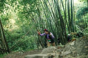 BIB: 
                            <button type="button" onclick="openModal(28114143)" class="btn btn-primary btn-sm float-right btn-popup" data-toggle="modal" data-target=".modal-high-quality">
                        <i class="fas fa-shopping-cart"></i> Add to Cart
                    </button>
                                            <button type="button" onclick="isThisMe(28114143, true)" class="btn btn-success btn-sm float-right btn-popup btn-isme hidden" data-toggle="tooltip" data-placement="bottom" title="นี่คือรูปของคุณใช่ไหม คลิกที่นี่เพื่อเอาเข้าอัลบั้ม">
                        <i class="fas fa-plus"></i> Add to album
                    </button>
                    <button type="button" onclick="isThisMe(28114143, false)" class="btn btn-warning btn-sm float-right btn-popup btn-isnotme hidden">
                        <i class="fas fa-ban"></i> Remove from album
                    </button>