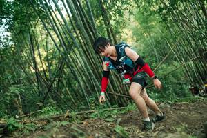 BIB: 
                            <button type="button" onclick="openModal(28113352)" class="btn btn-primary btn-sm float-right btn-popup" data-toggle="modal" data-target=".modal-high-quality">
                        <i class="fas fa-shopping-cart"></i> Add to Cart
                    </button>
                                            <button type="button" onclick="isThisMe(28113352, true)" class="btn btn-success btn-sm float-right btn-popup btn-isme hidden" data-toggle="tooltip" data-placement="bottom" title="นี่คือรูปของคุณใช่ไหม คลิกที่นี่เพื่อเอาเข้าอัลบั้ม">
                        <i class="fas fa-plus"></i> Add to album
                    </button>
                    <button type="button" onclick="isThisMe(28113352, false)" class="btn btn-warning btn-sm float-right btn-popup btn-isnotme hidden">
                        <i class="fas fa-ban"></i> Remove from album
                    </button>