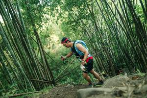 BIB: 
                            <button type="button" onclick="openModal(28114094)" class="btn btn-primary btn-sm float-right btn-popup" data-toggle="modal" data-target=".modal-high-quality">
                        <i class="fas fa-shopping-cart"></i> Add to Cart
                    </button>
                                            <button type="button" onclick="isThisMe(28114094, true)" class="btn btn-success btn-sm float-right btn-popup btn-isme hidden" data-toggle="tooltip" data-placement="bottom" title="นี่คือรูปของคุณใช่ไหม คลิกที่นี่เพื่อเอาเข้าอัลบั้ม">
                        <i class="fas fa-plus"></i> Add to album
                    </button>
                    <button type="button" onclick="isThisMe(28114094, false)" class="btn btn-warning btn-sm float-right btn-popup btn-isnotme hidden">
                        <i class="fas fa-ban"></i> Remove from album
                    </button>