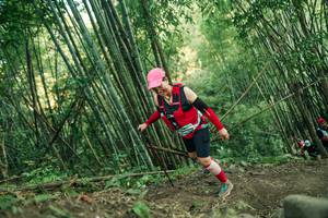 BIB: 
                            <button type="button" onclick="openModal(28113519)" class="btn btn-primary btn-sm float-right btn-popup" data-toggle="modal" data-target=".modal-high-quality">
                        <i class="fas fa-shopping-cart"></i> Add to Cart
                    </button>
                                            <button type="button" onclick="isThisMe(28113519, true)" class="btn btn-success btn-sm float-right btn-popup btn-isme hidden" data-toggle="tooltip" data-placement="bottom" title="นี่คือรูปของคุณใช่ไหม คลิกที่นี่เพื่อเอาเข้าอัลบั้ม">
                        <i class="fas fa-plus"></i> Add to album
                    </button>
                    <button type="button" onclick="isThisMe(28113519, false)" class="btn btn-warning btn-sm float-right btn-popup btn-isnotme hidden">
                        <i class="fas fa-ban"></i> Remove from album
                    </button>