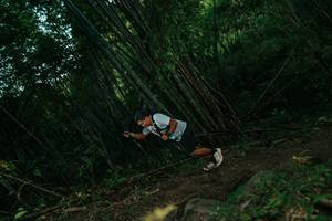 BIB: 
                            <button type="button" onclick="openModal(28111155)" class="btn btn-primary btn-sm float-right btn-popup" data-toggle="modal" data-target=".modal-high-quality">
                        <i class="fas fa-shopping-cart"></i> Add to Cart
                    </button>
                                            <button type="button" onclick="isThisMe(28111155, true)" class="btn btn-success btn-sm float-right btn-popup btn-isme hidden" data-toggle="tooltip" data-placement="bottom" title="นี่คือรูปของคุณใช่ไหม คลิกที่นี่เพื่อเอาเข้าอัลบั้ม">
                        <i class="fas fa-plus"></i> Add to album
                    </button>
                    <button type="button" onclick="isThisMe(28111155, false)" class="btn btn-warning btn-sm float-right btn-popup btn-isnotme hidden">
                        <i class="fas fa-ban"></i> Remove from album
                    </button>