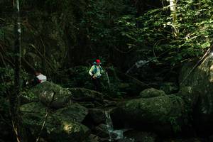 BIB: 
                            <button type="button" onclick="openModal(28081602)" class="btn btn-primary btn-sm float-right btn-popup" data-toggle="modal" data-target=".modal-high-quality">
                        <i class="fas fa-shopping-cart"></i> Add to Cart
                    </button>
                                            <button type="button" onclick="isThisMe(28081602, true)" class="btn btn-success btn-sm float-right btn-popup btn-isme hidden" data-toggle="tooltip" data-placement="bottom" title="นี่คือรูปของคุณใช่ไหม คลิกที่นี่เพื่อเอาเข้าอัลบั้ม">
                        <i class="fas fa-plus"></i> Add to album
                    </button>
                    <button type="button" onclick="isThisMe(28081602, false)" class="btn btn-warning btn-sm float-right btn-popup btn-isnotme hidden">
                        <i class="fas fa-ban"></i> Remove from album
                    </button>