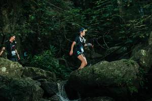 BIB: 
                            <button type="button" onclick="openModal(28076202)" class="btn btn-primary btn-sm float-right btn-popup" data-toggle="modal" data-target=".modal-high-quality">
                        <i class="fas fa-shopping-cart"></i> Add to Cart
                    </button>
                                            <button type="button" onclick="isThisMe(28076202, true)" class="btn btn-success btn-sm float-right btn-popup btn-isme hidden" data-toggle="tooltip" data-placement="bottom" title="นี่คือรูปของคุณใช่ไหม คลิกที่นี่เพื่อเอาเข้าอัลบั้ม">
                        <i class="fas fa-plus"></i> Add to album
                    </button>
                    <button type="button" onclick="isThisMe(28076202, false)" class="btn btn-warning btn-sm float-right btn-popup btn-isnotme hidden">
                        <i class="fas fa-ban"></i> Remove from album
                    </button>