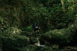 BIB: 
                            <button type="button" onclick="openModal(28080485)" class="btn btn-primary btn-sm float-right btn-popup" data-toggle="modal" data-target=".modal-high-quality">
                        <i class="fas fa-shopping-cart"></i> Add to Cart
                    </button>
                                            <button type="button" onclick="isThisMe(28080485, true)" class="btn btn-success btn-sm float-right btn-popup btn-isme hidden" data-toggle="tooltip" data-placement="bottom" title="นี่คือรูปของคุณใช่ไหม คลิกที่นี่เพื่อเอาเข้าอัลบั้ม">
                        <i class="fas fa-plus"></i> Add to album
                    </button>
                    <button type="button" onclick="isThisMe(28080485, false)" class="btn btn-warning btn-sm float-right btn-popup btn-isnotme hidden">
                        <i class="fas fa-ban"></i> Remove from album
                    </button>