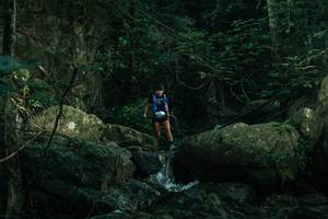 BIB: 
                            <button type="button" onclick="openModal(28075251)" class="btn btn-primary btn-sm float-right btn-popup" data-toggle="modal" data-target=".modal-high-quality">
                        <i class="fas fa-shopping-cart"></i> Add to Cart
                    </button>
                                            <button type="button" onclick="isThisMe(28075251, true)" class="btn btn-success btn-sm float-right btn-popup btn-isme hidden" data-toggle="tooltip" data-placement="bottom" title="นี่คือรูปของคุณใช่ไหม คลิกที่นี่เพื่อเอาเข้าอัลบั้ม">
                        <i class="fas fa-plus"></i> Add to album
                    </button>
                    <button type="button" onclick="isThisMe(28075251, false)" class="btn btn-warning btn-sm float-right btn-popup btn-isnotme hidden">
                        <i class="fas fa-ban"></i> Remove from album
                    </button>